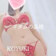 ヒメ日記 2025/12/25 03:00 投稿 こゆき マダムの品格