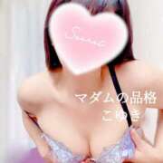 ヒメ日記 2025/12/26 07:52 投稿 こゆき マダムの品格