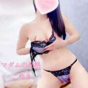 ヒメ日記 2025/12/26 17:02 投稿 こゆき マダムの品格