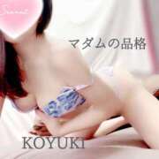 ヒメ日記 2025/12/28 06:00 投稿 こゆき マダムの品格