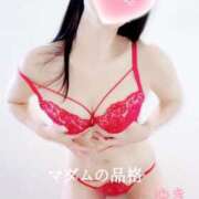 ヒメ日記 2025/12/28 13:22 投稿 こゆき マダムの品格