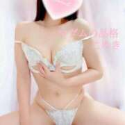 ヒメ日記 2025/12/30 07:00 投稿 こゆき マダムの品格