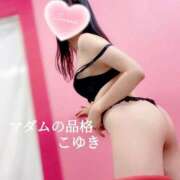 ヒメ日記 2025/12/31 09:45 投稿 こゆき マダムの品格