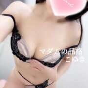 ヒメ日記 2025/12/31 14:30 投稿 こゆき マダムの品格