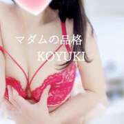 ヒメ日記 2025/12/31 17:08 投稿 こゆき マダムの品格