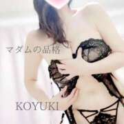 ヒメ日記 2026/01/06 07:43 投稿 こゆき マダムの品格