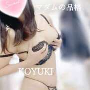 ヒメ日記 2026/01/06 21:13 投稿 こゆき マダムの品格