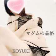 ヒメ日記 2026/01/07 03:15 投稿 こゆき マダムの品格