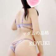 ヒメ日記 2026/01/07 09:45 投稿 こゆき マダムの品格