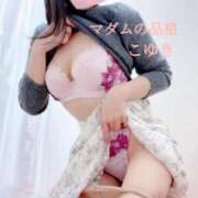 ヒメ日記 2026/01/08 06:00 投稿 こゆき マダムの品格