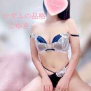 ヒメ日記 2026/01/09 05:17 投稿 こゆき マダムの品格