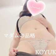 ヒメ日記 2026/01/11 12:04 投稿 こゆき マダムの品格