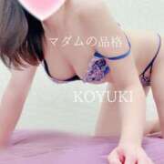 ヒメ日記 2026/01/12 05:21 投稿 こゆき マダムの品格