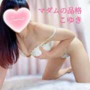 ヒメ日記 2026/01/14 22:03 投稿 こゆき マダムの品格