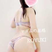 ヒメ日記 2026/01/15 09:45 投稿 こゆき マダムの品格