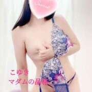 こゆき 出勤いたしました。 マダムの品格