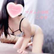 ヒメ日記 2026/01/17 08:19 投稿 こゆき マダムの品格