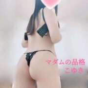 ヒメ日記 2026/01/19 22:39 投稿 こゆき マダムの品格