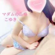 ヒメ日記 2026/01/23 03:07 投稿 こゆき マダムの品格