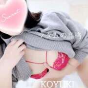 ヒメ日記 2026/01/23 19:59 投稿 こゆき マダムの品格