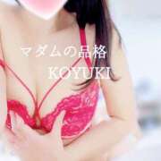 ヒメ日記 2026/02/02 23:01 投稿 こゆき マダムの品格