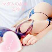 ヒメ日記 2026/02/03 08:31 投稿 こゆき マダムの品格