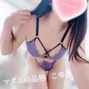 ヒメ日記 2026/02/03 16:00 投稿 こゆき マダムの品格