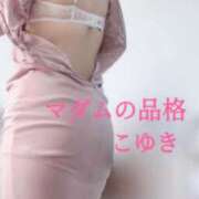 ヒメ日記 2026/02/05 23:02 投稿 こゆき マダムの品格