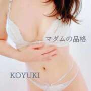 ヒメ日記 2026/02/09 22:25 投稿 こゆき マダムの品格