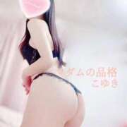 ヒメ日記 2026/02/10 21:50 投稿 こゆき マダムの品格