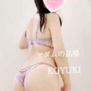 ヒメ日記 2026/02/11 03:31 投稿 こゆき マダムの品格