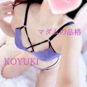 ヒメ日記 2026/02/11 10:42 投稿 こゆき マダムの品格