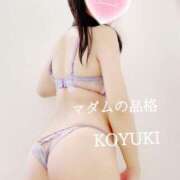 ヒメ日記 2026/02/12 09:45 投稿 こゆき マダムの品格