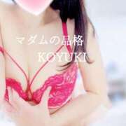 ヒメ日記 2026/02/14 05:07 投稿 こゆき マダムの品格