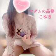 ヒメ日記 2026/02/15 03:39 投稿 こゆき マダムの品格