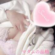 ヒメ日記 2026/02/16 22:00 投稿 こゆき マダムの品格