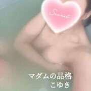 ヒメ日記 2026/02/17 03:39 投稿 こゆき マダムの品格