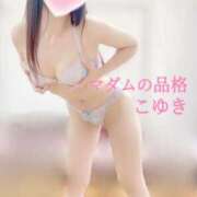 ヒメ日記 2026/02/17 08:15 投稿 こゆき マダムの品格