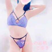 ヒメ日記 2026/02/17 16:30 投稿 こゆき マダムの品格