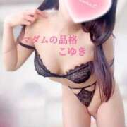 ヒメ日記 2026/02/18 03:22 投稿 こゆき マダムの品格