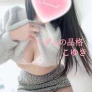 ヒメ日記 2026/02/19 03:00 投稿 こゆき マダムの品格