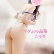 ヒメ日記 2026/02/19 11:46 投稿 こゆき マダムの品格