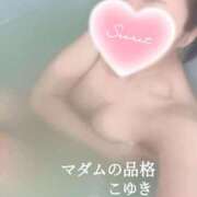 ヒメ日記 2026/02/20 21:03 投稿 こゆき マダムの品格