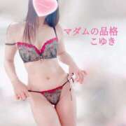 ヒメ日記 2026/02/21 03:00 投稿 こゆき マダムの品格