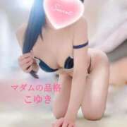 ヒメ日記 2026/02/21 17:54 投稿 こゆき マダムの品格