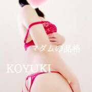 ヒメ日記 2026/02/22 06:06 投稿 こゆき マダムの品格