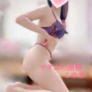 ヒメ日記 2026/02/25 07:27 投稿 こゆき マダムの品格