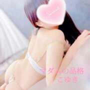 ヒメ日記 2026/02/28 03:15 投稿 こゆき マダムの品格