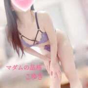 ヒメ日記 2026/02/28 07:01 投稿 こゆき マダムの品格