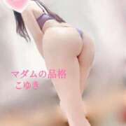 ヒメ日記 2026/03/07 01:11 投稿 こゆき マダムの品格